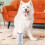 (Blue) Dog Paw Washer Large Multifunctional Quick Cleaning Pet Tool for Small Medium-sized Dog 5