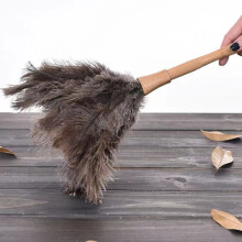 Natural Feather Duster with Wood Grip