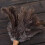 Natural Ostrich Feather Duster 1