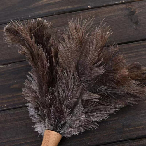 Natural Ostrich Feather Duster