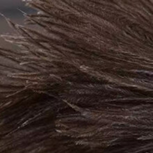 Natural Feather Duster with Wood Grip