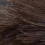 Natural Feather Duster with Wood Grip 1