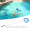 Professional Pool Leaf Net 270g Plastic Aluminum Cleaning Tool 8