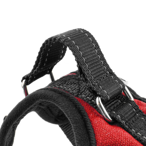 KCT (Red Harness, Extra Small (XS)) KCT No Pull Padded Dog Harnesses Red/Black/Blue 1