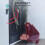 BOIFUN WiFi Video Doorbell Camera Wireless UK 10