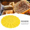 3Pcs Round Beehive Exit Disc 16 Way 1
