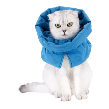 Veelzijdige katten Elizabethaanse halsband-M meerblauw