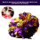 Metallic Dual Head Pompoms for Festival Fun 12
