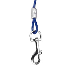 Blue Steel Ground Stake & Double Hook Traction Chain for Large Dogs
