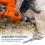 SDS  Hammer Drill Tile Chisel - Carbide Alloy for Efficient Tile Removal 4