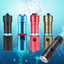 (Black Blue Ring) Waterproof Diving Flashlight for Camping & Fishing