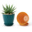 Pots de fleurs en plastique polyvalents, 5 pièces, parfaits pour 5
