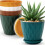 Pots de fleurs en plastique polyvalents, 5 pièces, parfaits pour 6