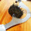 3X Stainless Steel Sea Urchin Shell Cutting Shears Labor Saving Sea Urchin Shell Opening Tools Scissors Kitchen Gadgets 5