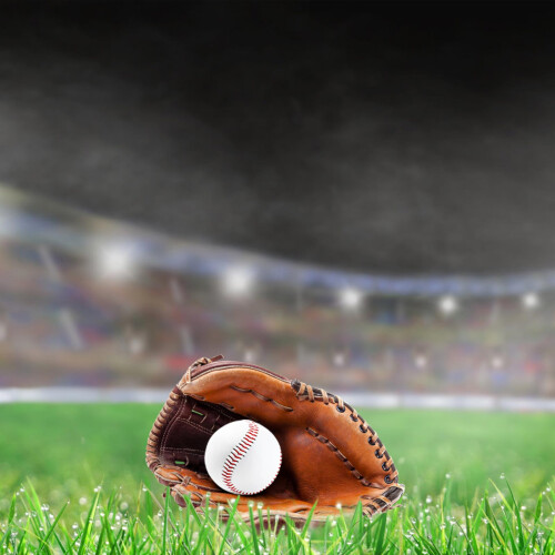 Soft Leather Baseball for League Play (50 chars)