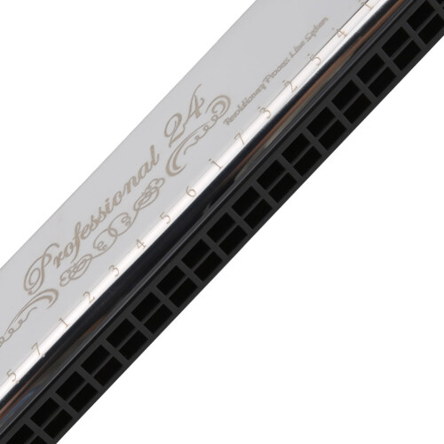 C Key 24-Hole Polyphonic Resin Accented Silver Harmonica for Beginners