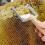 Wooden Handle Uncapping Honey Fork Honeycomb Honey Scraper Bee Hive Opening Scraping Knife Apiculture Beekeeping Tool 3