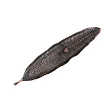 Incense Holder Leaf Snail Set for Meditation Yoga & Bedroom Decor Ash Catcher