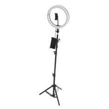 26cm/10inch Dimmable LED Ring Light Kit with Tripod, 3 Colors, 10 Levels