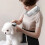 Easy To Use Dog Grooming Blower Featuring Comfortable-Yellow 3