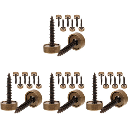 32Pcs Brass Mirror Screws with Decorative Caps for Easy Wall Mounting