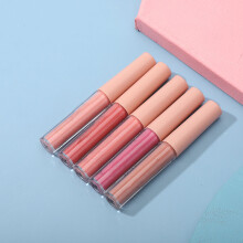 5Pcs Matte Lipstick Set Long Lasting Lip Gloss Makeup Cosmetics 2g Each