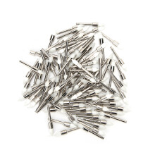 100Pcs Nylon Dental Polishing Brushes with Storage Box, White
