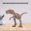Simulations Allosaurus Modell 1