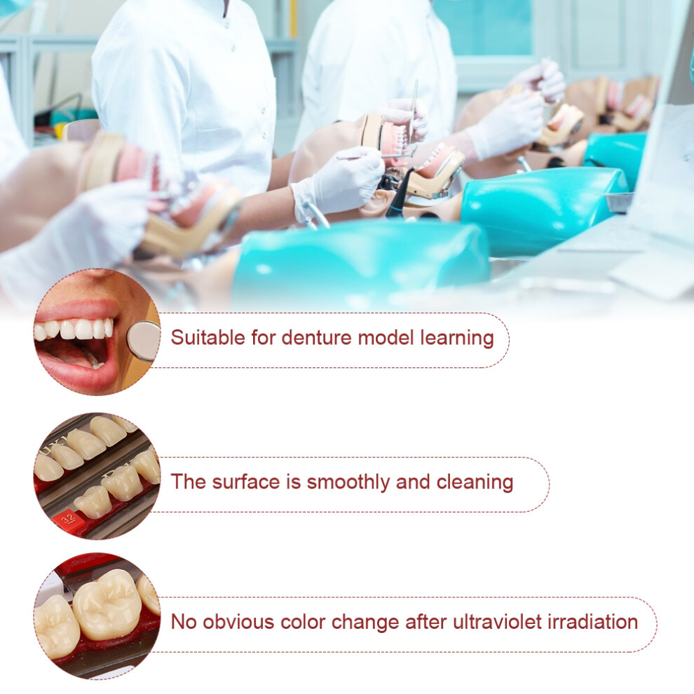 Synthetic Resin False Teeth A3 for Denture Creation, Dentist Supplies