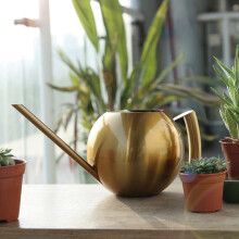 1000ml Stainless Steel Garden Watering Can - Gold, 29 x 13cm