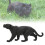 Wildtier Panther Nachbildung Lernspielzeug 8