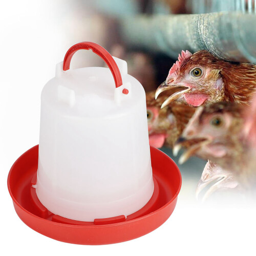 10 Pc Chicken Water Bucket 2