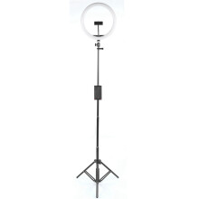 Dimmbares Ringlicht 30 cm mit Stativ