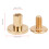 Gold Copper Rivets 50 Pack 8mm Flat Head for Leather Straps & Notebook Binding 9