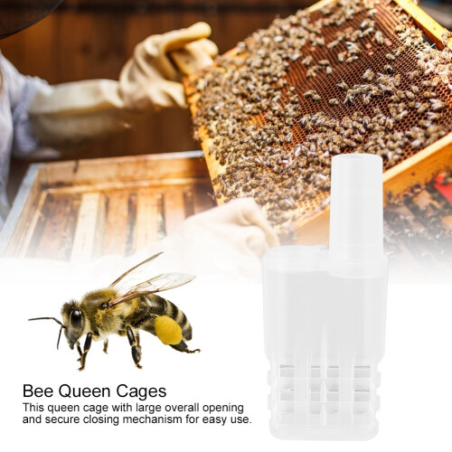 Beekeeping Queen Rearing Cages 20 Pack Plastic Escape Proof Isolator 2
