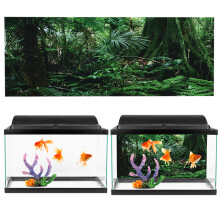 PVC Rainforest Background for Fish Tank Reptile Box Wall Poster 61cm x 30cm