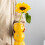 Tiny Porcelain Fruit developed Flower Show And Display Item-1 6