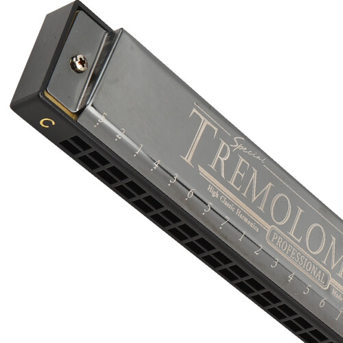 Professional 24-Hole C Key Diatonic Harmonica Glossy Black Polyphonic Mouthorgan 2