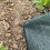 Adjustment Seedling Protective Foldable Plant Protector-Green 5