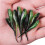10pcs Realistic Tadpole Lures for Saltwater & Freshwater 4