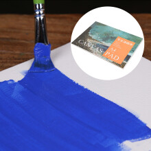 A4 Cotton Canvas Painting Book 10 Sheets for Oil & Acrylic Art