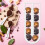 Durable ABS Coffee Capsule Stand 9
