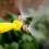 3Pcs Copper G1/2 DN15 Garden Sprinklers Watering Nozzle Set 9