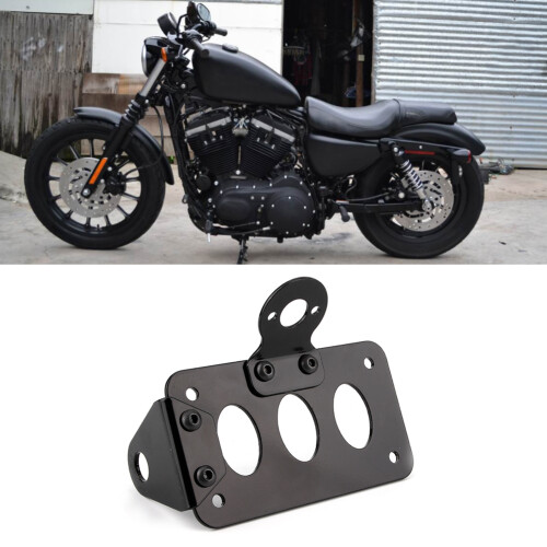 Iron Motorcycle Rear License Plate Mount and Tail Light Bracket for Custom Fit 2