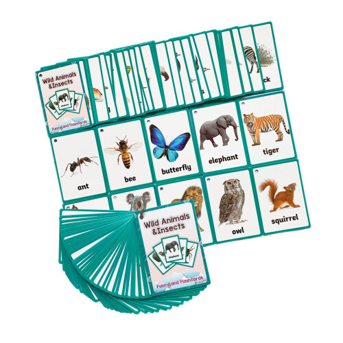 11x8cm Animal Bugs Learning Cards Flashcards Perfect For