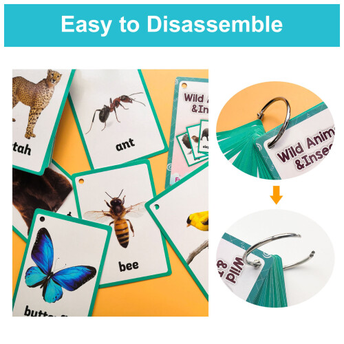 11x8cm Animal Bugs Learning Cards Flashcards Perfect For 2