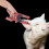 Veterinary Animal ID Ear Plier 3