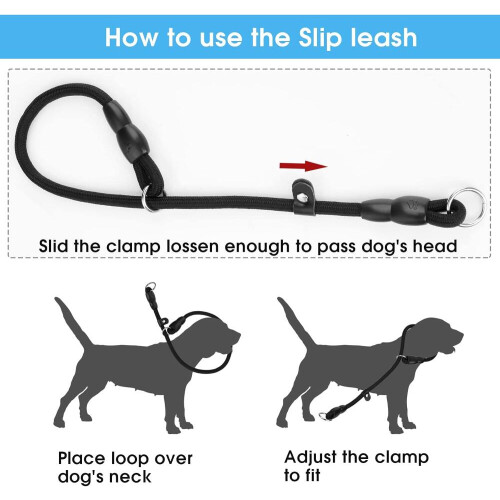 Adjustable Nylon Pet Dog Loop Slip Rope Leash Lead Training 2