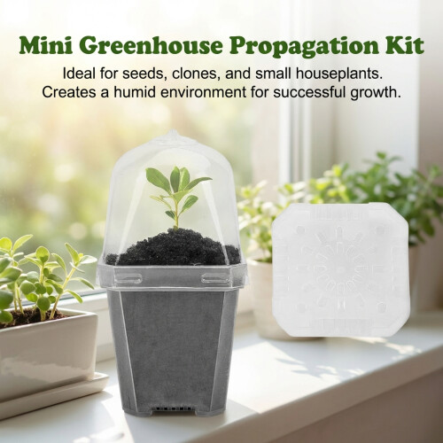 Succulent Seed Starter Kit w/ Lid, 50 Char
