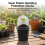 Succulent Seed Starter Kit w/ Lid, 50 Char 2